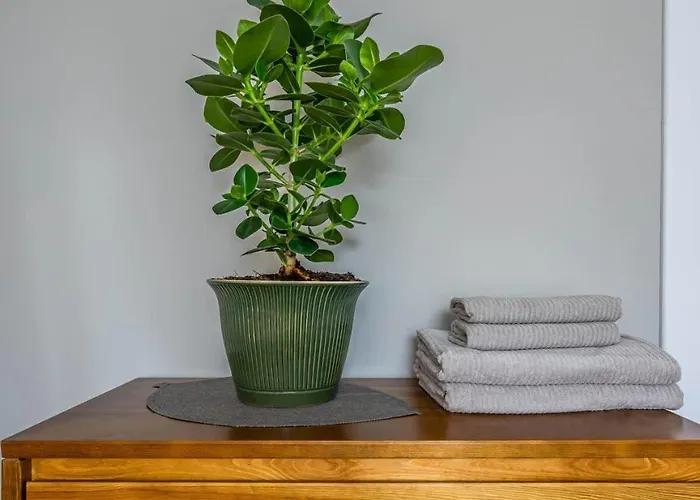 Apartament Domillion 2bdr New Scandinavian Old Town N2a5 *