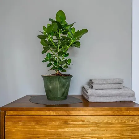 Апартаменты Domillion 2bdr New Scandinavian Old Town N2a5 *